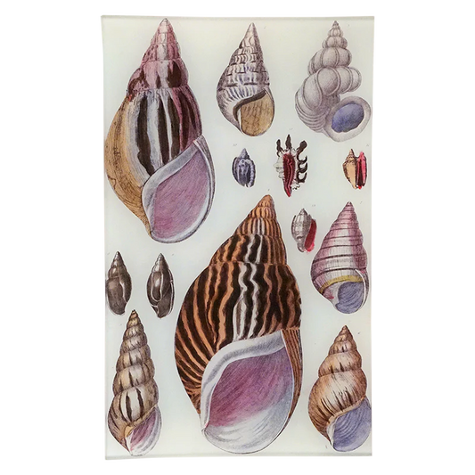 Agate Shells Tray