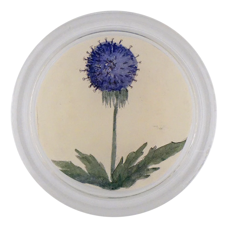 Blue Dandelion 4" Coaster