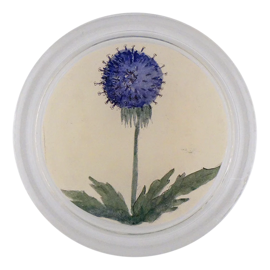 Blue Dandelion 4" Coaster