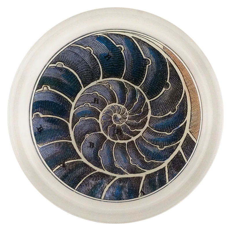 Blue Nautilus 6" Coaster