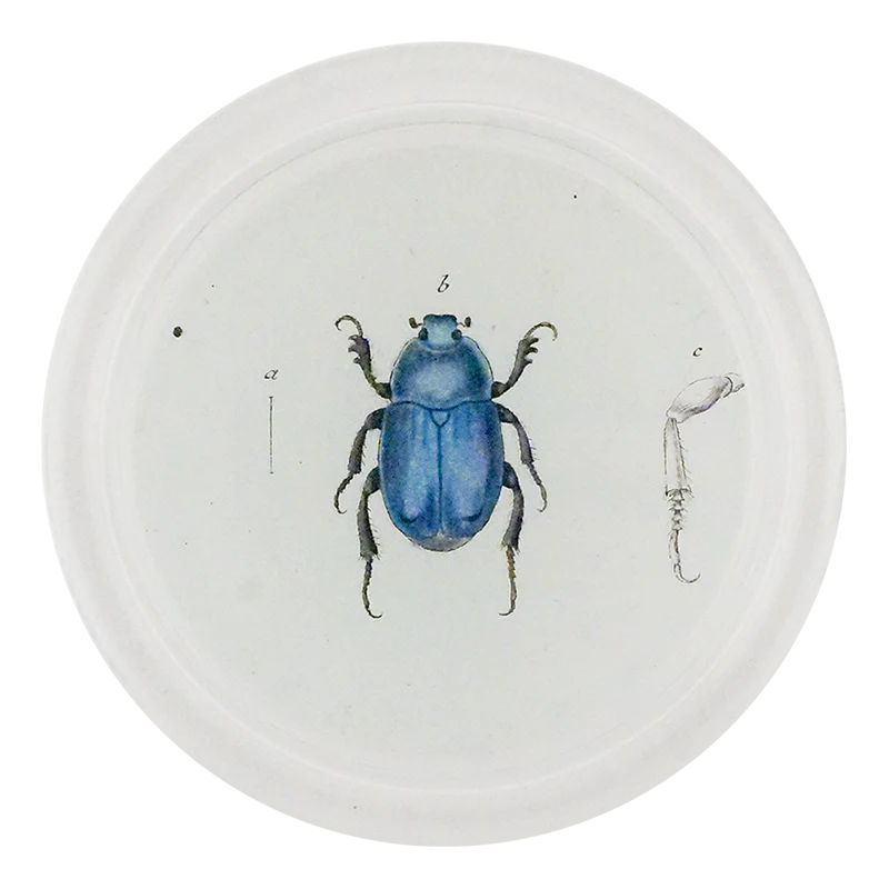 Blue Scarab 4" Coaster