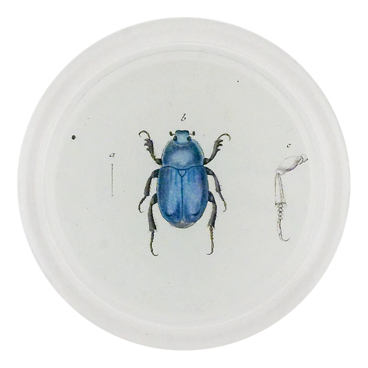 Blue Scarab 4" Coaster