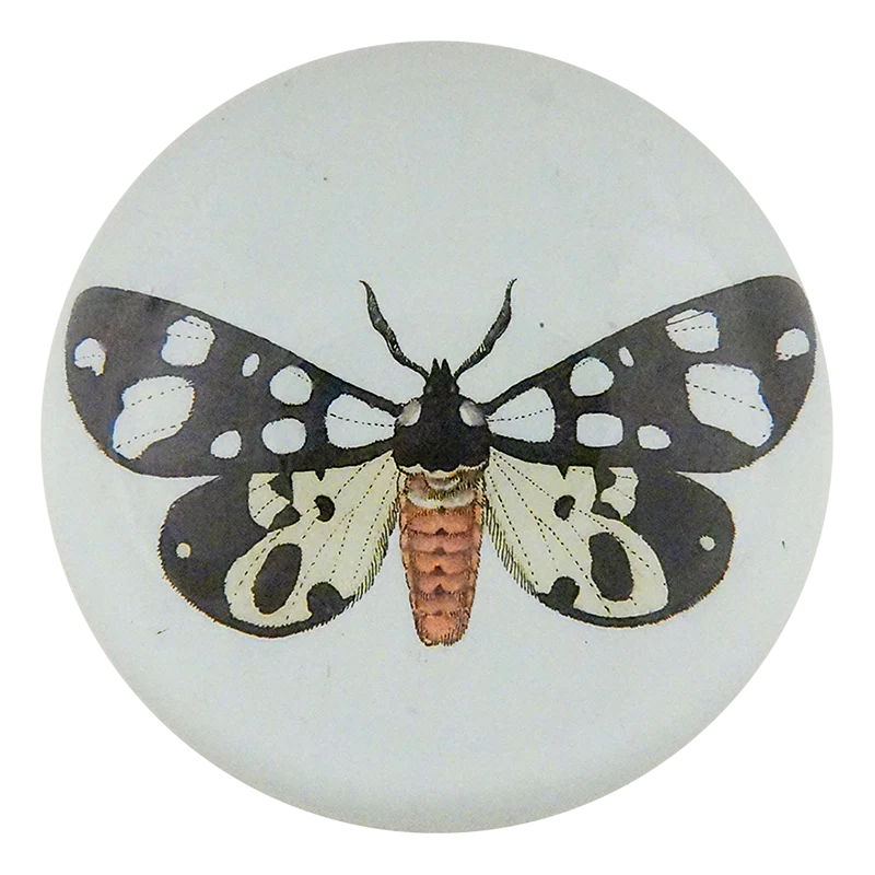 Bombyx Villica Dome Paperweight