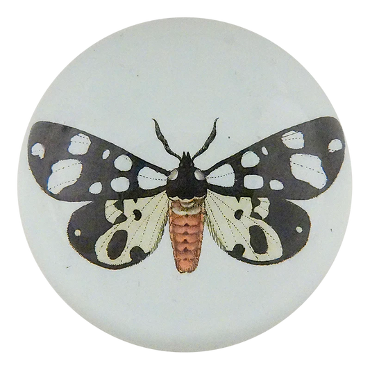 Bombyx Villica Dome Paperweight