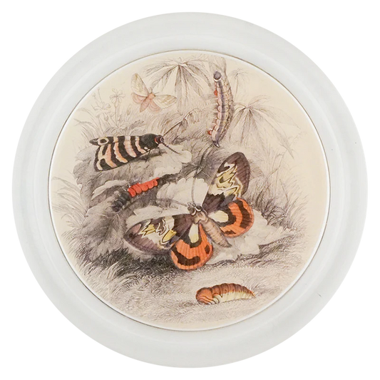 Butterflies with Insects 6" Coaster