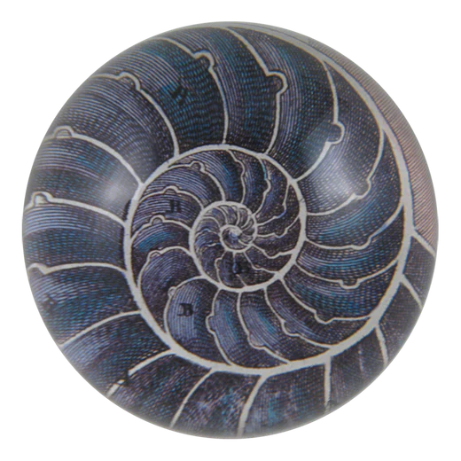 Nautilus Dome Paperweight