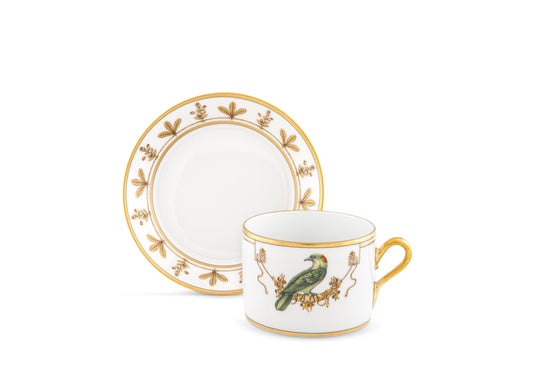 Volière Coucou Didrie Teacup + Saucer by Ginori 1735