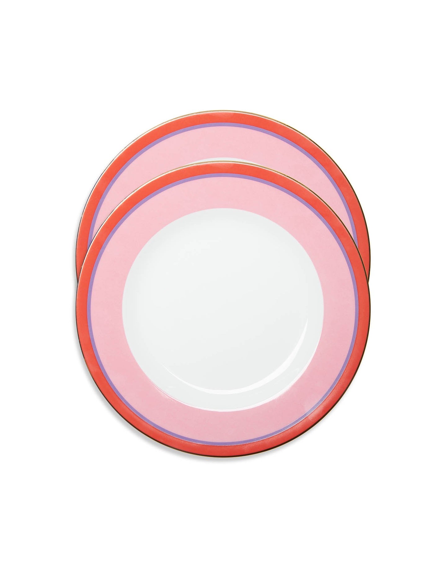 Rainbow Rose Dinner Plates set of 2