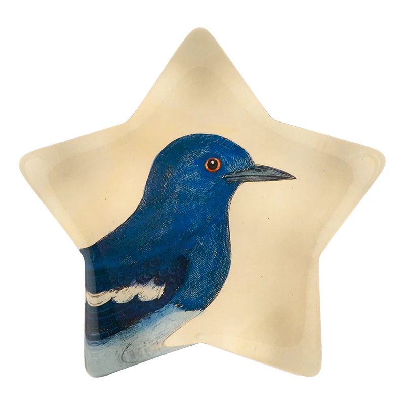 Dial Bird Star Charm