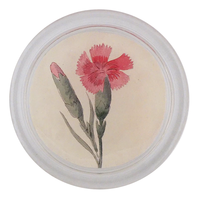 Dianthus 4" Coaster