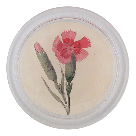 Dianthus 4" Coaster