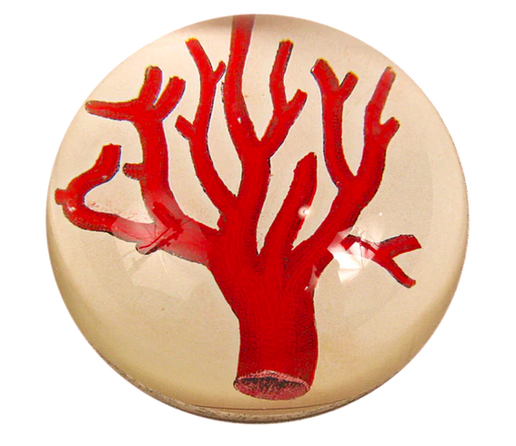 Red Coral Dome Paperweight