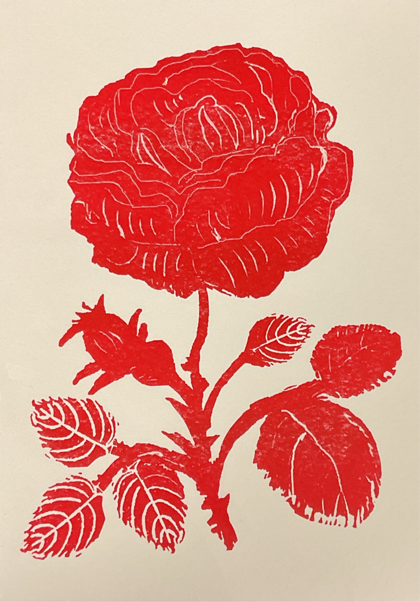 Red Rose Art Print