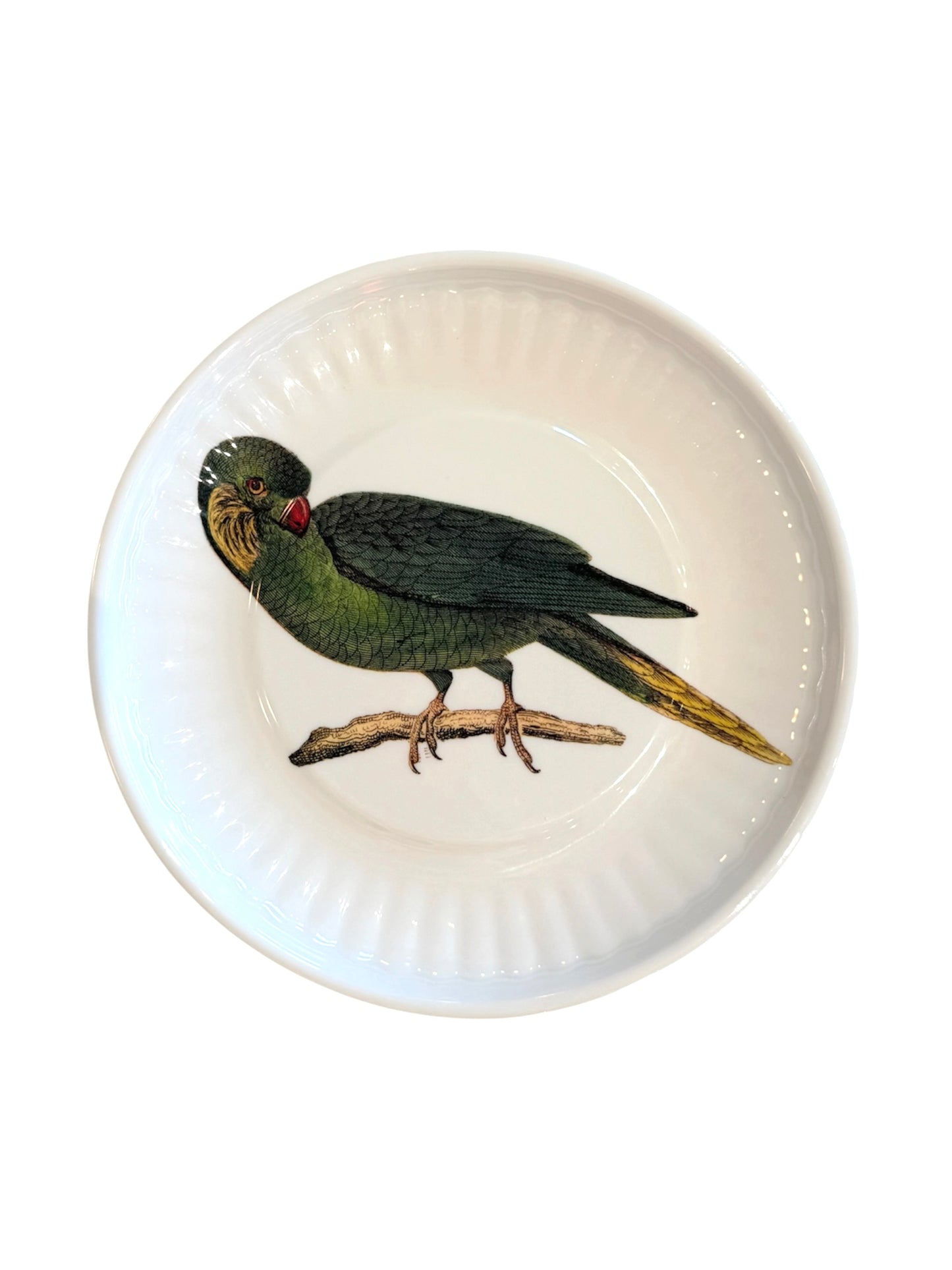 Parrot Melamine Plates - Set of 4