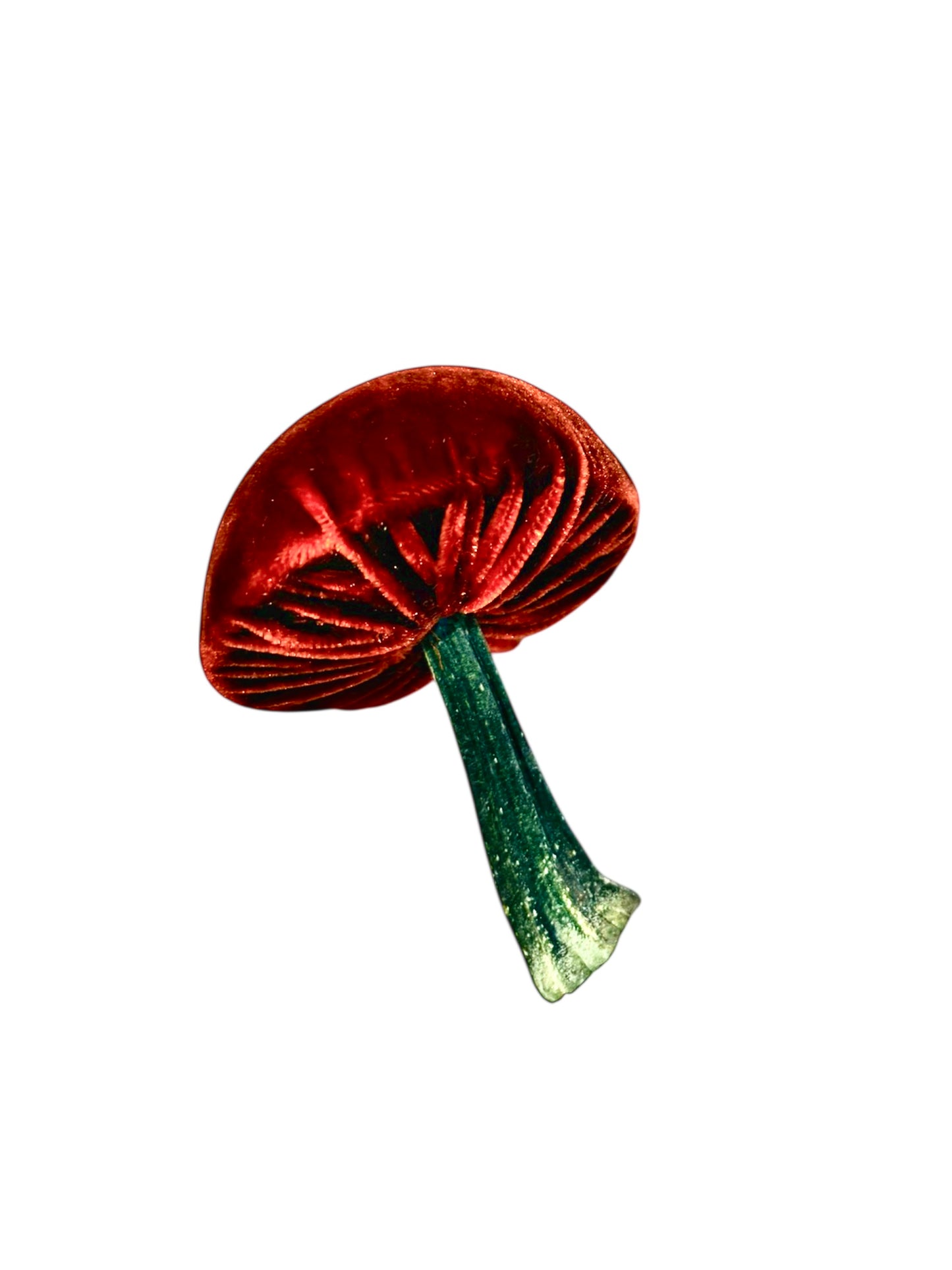 Velvet Mushroom in Rust