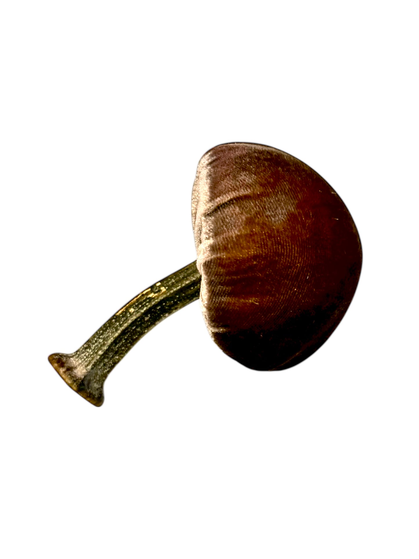 Velvet Mushroom in Light Brown