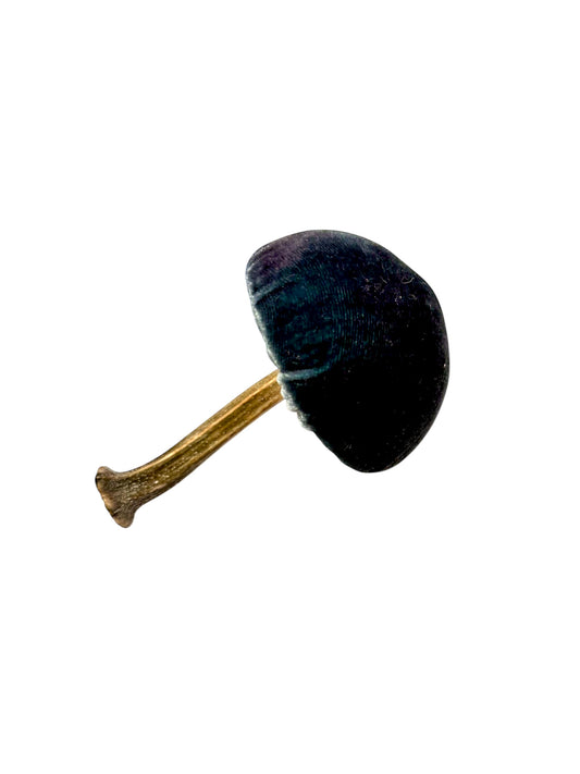 Velvet Mushroom in Turquoise