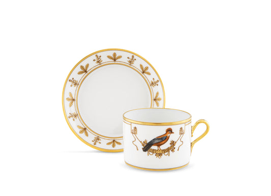 Volière Geai Teacup + Saucer by Ginori 1735