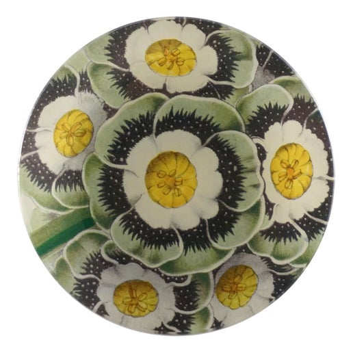 Primrose 4" Round