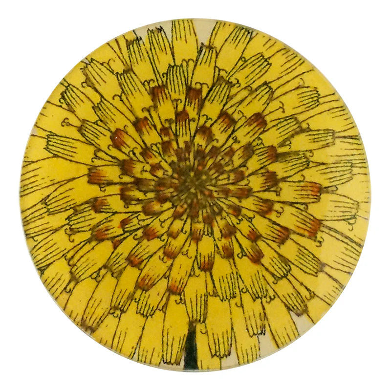 Dandelion 4” round plate