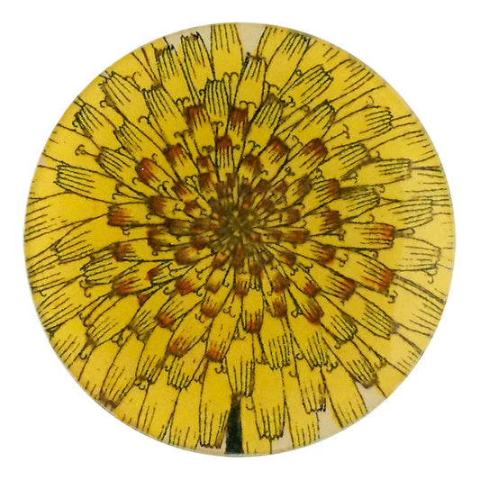 Dandelion 4” round plate