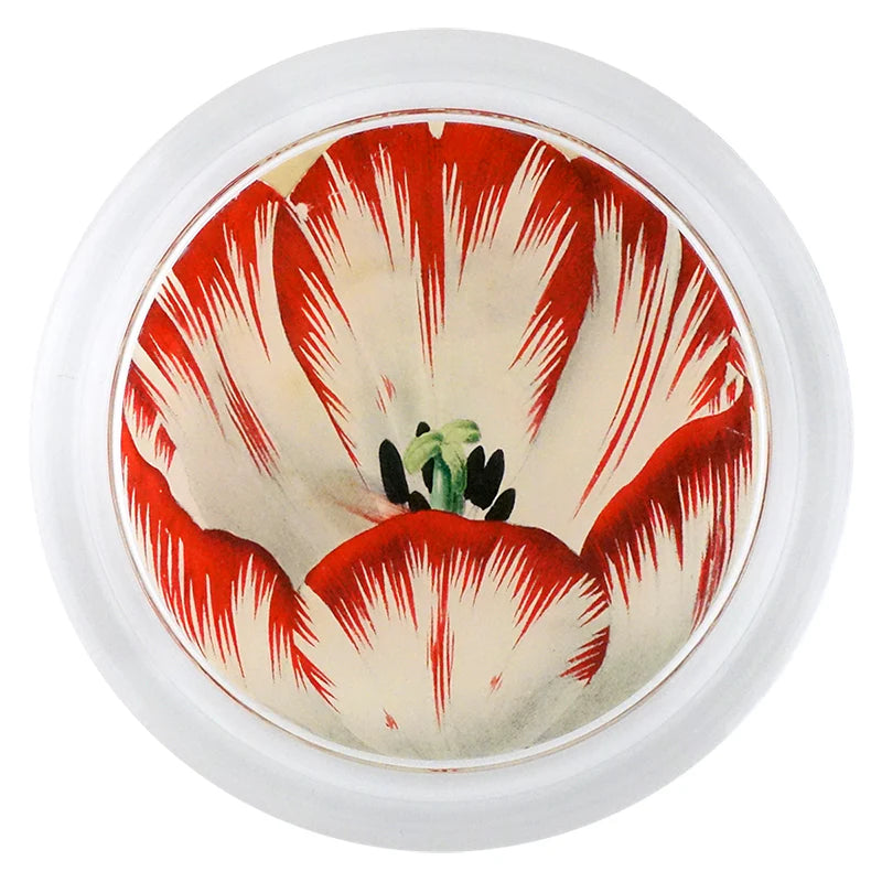 Red tulip 6” coaster