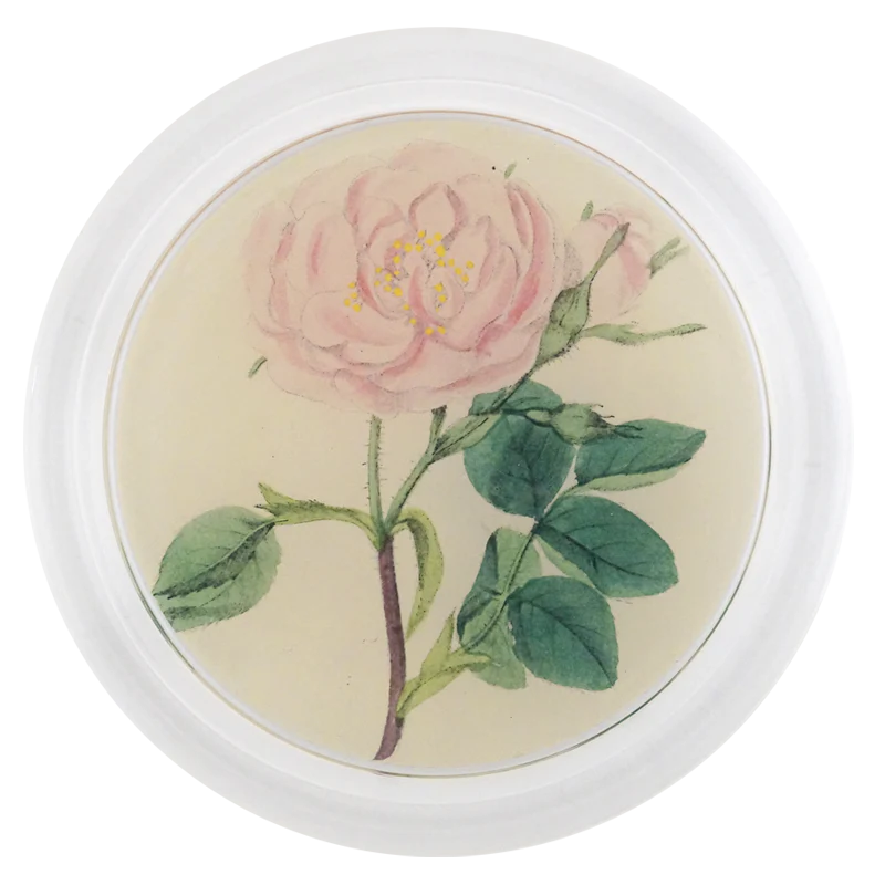 Rose 6" COASTER