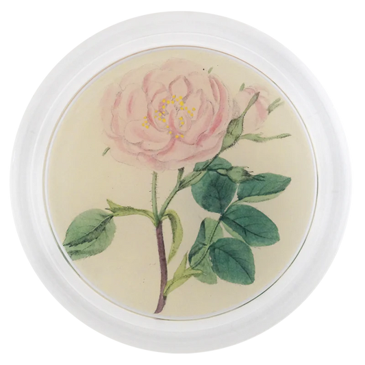 Rose 6" COASTER