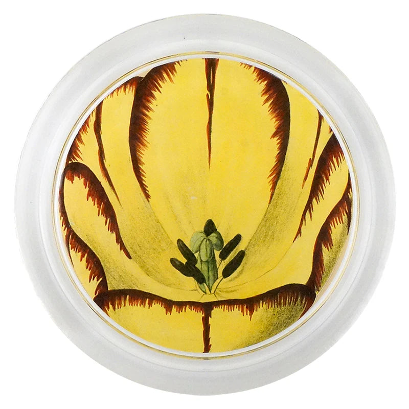 Yellow tulip 6” coaster