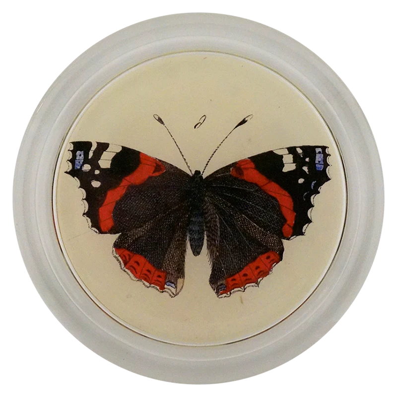 Red Admiral Butterfly 6” coaster