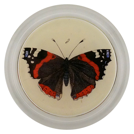 Red Admiral Butterfly 6” coaster