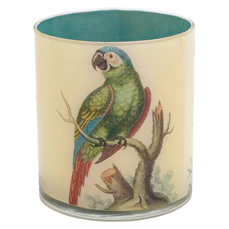 Tropical birds desk cup