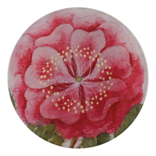 Tropical Rose 5 1/4" Round Plate