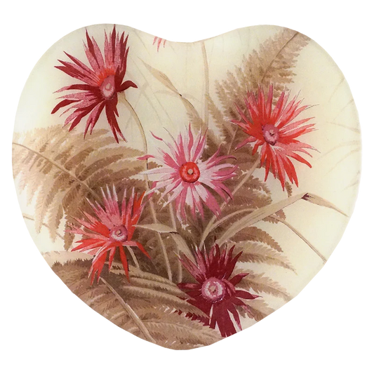 Dianthus Heart 8”