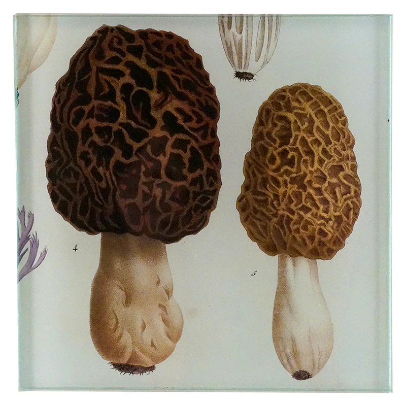 Morel Spoon Rest