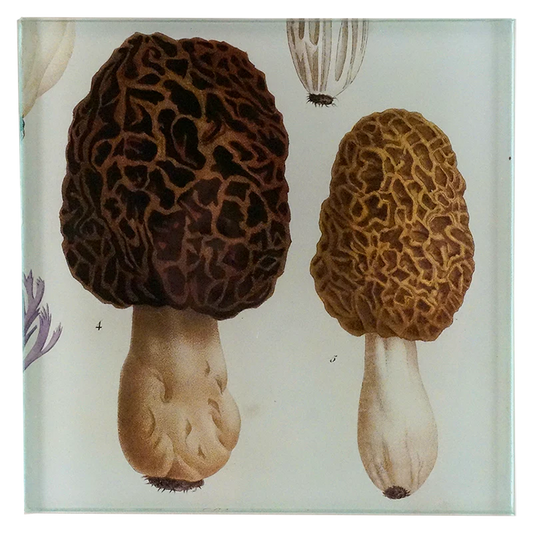 Morel Spoon Rest