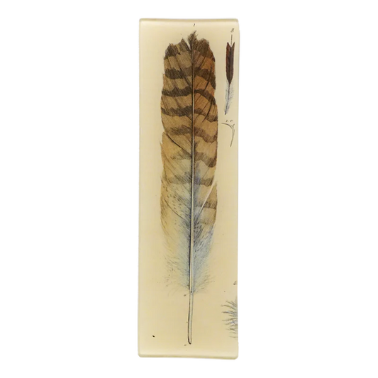 Feather Tray