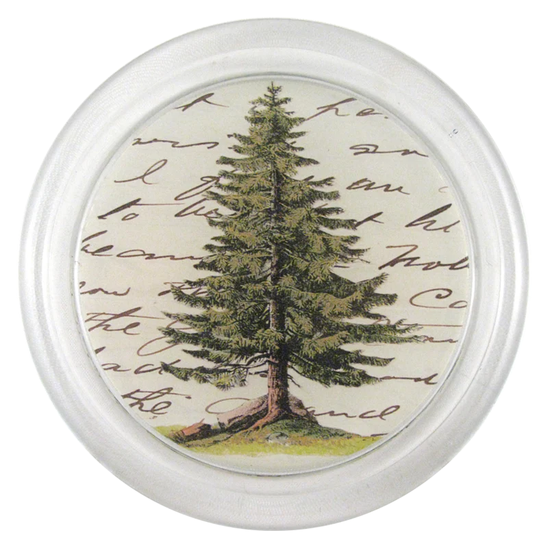 Pine 6” Coaster