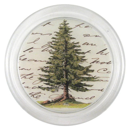 Pine 6” Coaster