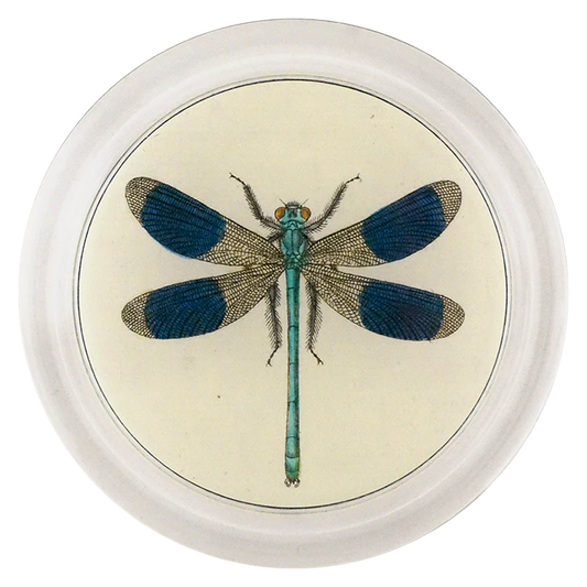 Dragonfly 6” Coaster