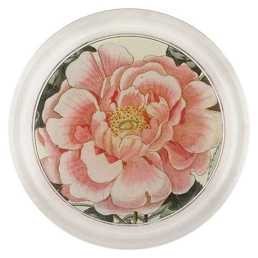 Rosa 6” Coaster