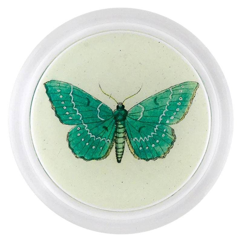 Papilionaria (Butterfly) 6” Coaster