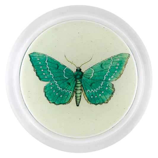 Papilionaria (Butterfly) 6” Coaster