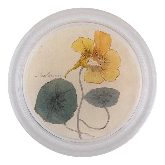 Nasturtium 4” Coaster