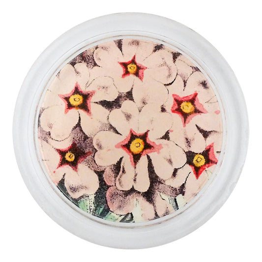Pink Primula 4” Coaster