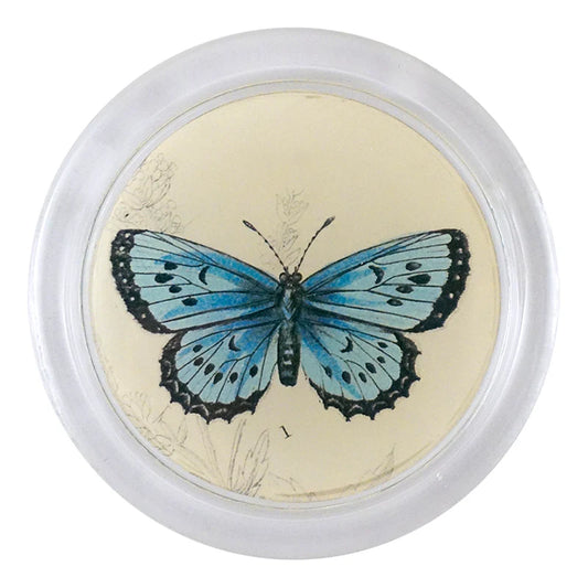Arion Butterfly (19th c. Naturalist) 4” Coaster