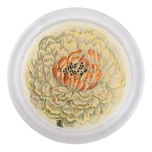 Ranunculus 851-D 4” Coaster