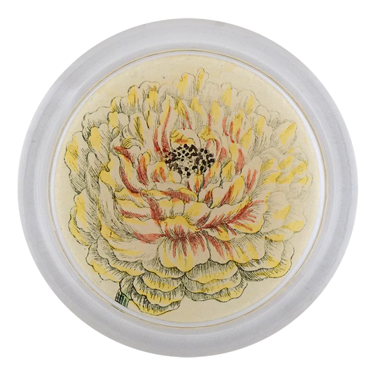 Ranunculus 851-C 4” Coaster