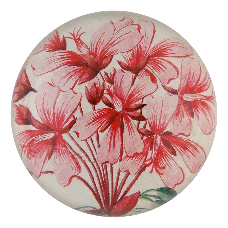 Geranium Zonale Dome Paperweight
