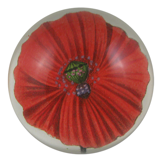 Blood Poppy Dome Paperweight